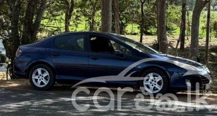 PEUGEOT 407 2008