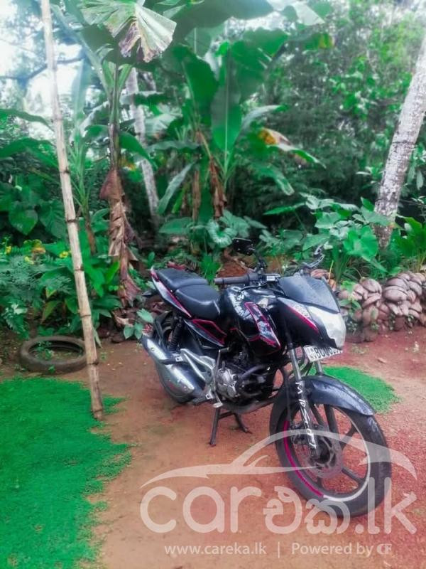 BAJAJ PULSAR 135 2015