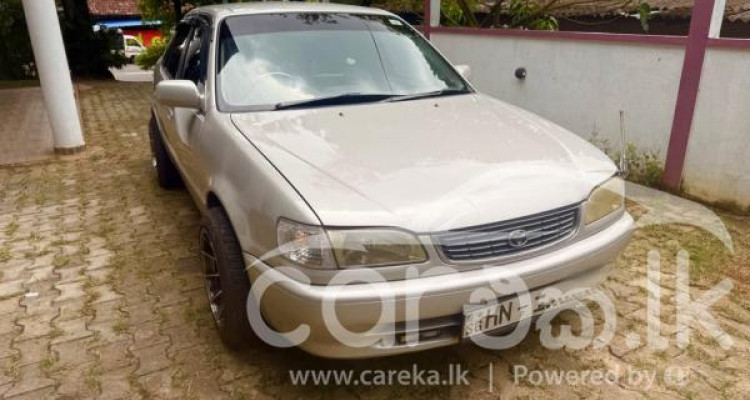 TOYOTA COROLLA 2000