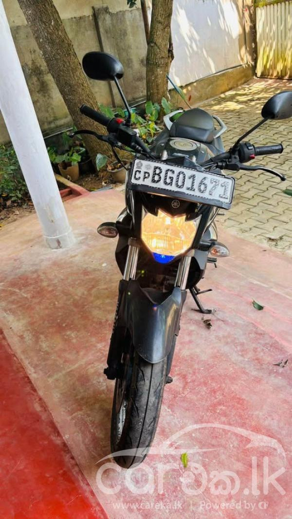 YAMAHA FZ V2 2019